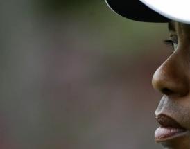 Il profilo di Tiger